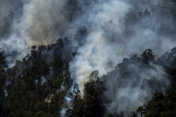 Chubut, Argentina.- En las fotos tomadas el 7 de febrero del 2024, muestra el incendio forestal en el Brazo Tristeza, en el Parque Nacional Nahuel Huapi. Más de 50 brigadistas y dos helicópteros continúan trabajando en la zona sur del Parque Nacional Nahuel Huap para contener el fuego que se desató ayer, pero el área es afectada por "mucho viento", lo que constituye "un factor desfavorable" y propicia un comportamiento más extremo del fuego.