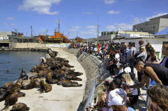 Mar del Plata, Argentina.- En las fotos tomadas el 13 de febrero del 2024, visitantes y turistas se despiden del fin de semana largo de Carnaval en Mar del Plata. El fin de semana largo de Carnaval registró uno de los índices de ocupación hotelera más altos de la temporada, con un lleno prácticamente total en destinos tradicionales de Carnaval -Jujuy, Entre Ríos y Corrientes- y niveles superiores al 90% para Mar del Plata y Villa Gesell, las dos ciudades con más plazas de alojamiento de toda la costa bonaerense.