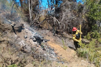 Patagonia, Argentina.- En las fotos tomadas el 13 de febrero del 2024, muestra el incendio forestal que afecta el Parque Nacional Los Alerces. El incendio en el Parque Nacional Los Alerces continúa activo con una superficie total afectada de 8.205 hectáreas, se informó. Esta catástrofe ha movilizado a 437 personas para trabajar en el operativo.