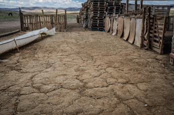 Rio Negro, Argentina.- En las fotos tomadas el 5 de febrero del 2024, cooperativas, comunidades mapuches, productores, vecinas y vecinos, organismos del Estado municipal, provincial y nacional, universidades e institutos científicos confluyeron en la localidad de Ingeniero Jacobacci (Río Negro) en la Unidad de Gestión Integrada de la Cuenca Huahuel Niyeo, un espacio en el que llevan adelante proyectos para hacer un mejor uso del agua en un contexto de emergencia hídrica.