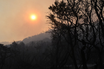 Chubut, Argentina.- En las fotos tomadas el 6 de febrero del 2024, muestra el incendio en el Parque Los Alerces, que avanza hacia Esquel, provocando la evacuación de forma preventiva de los vecinos de Río Percy, la parte alta de la Ciudad de Esquel. El incendio se inició el 25 de enero en el Parque Nacional Los Alerces y luego se extendió dentro de jurisdicción provincial, arrasando con más de 3.500 hectáreas de bosque nativo.