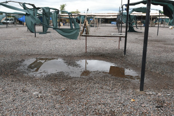 Mendoza, Argentina.- En las fotos tomadas el 29 de febrero del 2024, una tormenta de granizo generó la caída de árboles, calles anegadas, cortes del servicio eléctrico y algunas viviendas sufrieron daños en techos y 20 personas fueron asistidas por lesiones leves en diversas localidades de Mendoza, informaron fuentes oficiales.