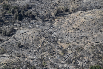 Chubut, Argentina.- En las fotos tomadas el 8 de febrero del 2024, muestra los incendios forestales que afecta el Parque Nacional Los Alerces en Chubut. El incendio, afectó aproximadamente unas 6.715 hectáreas y, pese a que en la zona rigen alertas por vientos fuertes, las autoridades a cargo del operativo esperan poder avanzar en el combate del fuego por la lluvia y el descenso de temperatura.