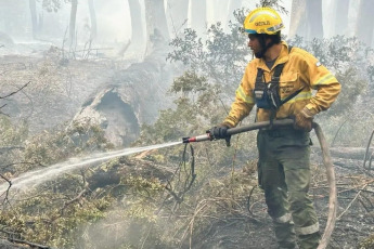 Patagonia, Argentina.- En las fotos tomadas el 20 de febrero del 2024, cuerpos de bomberos combaten los incendios forestales en el Parque Nahuel Huapi. Los bomberos de los Parques Nacionales argentinos, afirmaron este lunes, que los incendios en Nahuel Huapi están cerca de ser controlados y contenidos, mientras que en Los Alerces aún había focos activos, con unas 8.000 hectáreas de bosque nativo quemadas, se informó.