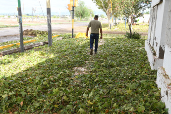 Mendoza, Argentina.- En las fotos tomadas el 29 de febrero del 2024, una tormenta de granizo generó la caída de árboles, calles anegadas, cortes del servicio eléctrico y algunas viviendas sufrieron daños en techos y 20 personas fueron asistidas por lesiones leves en diversas localidades de Mendoza, informaron fuentes oficiales.