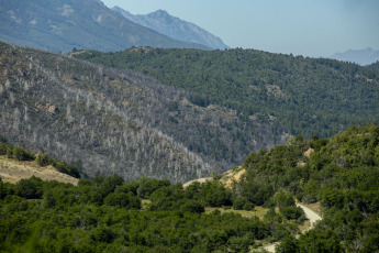 Patagonia, Argentina.- En las fotos tomadas el 19 de febrero del 2024, la frecuencia de los incendios forestales en la región andinopatagónica de Chile y Argentina, como los que afectan por estos días al Parque Nacional Los Alerces y al brazo Tristeza del Nahuel Huapi, se ha incrementado sensiblemente en las últimas décadas y podrían multiplicarse varias veces durante los próximos años por acción del cambio climático, según especialistas que se dedican a investigar el tema.