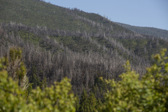 Patagonia, Argentina.- En las fotos tomadas el 19 de febrero del 2024, la frecuencia de los incendios forestales en la región andinopatagónica de Chile y Argentina, como los que afectan por estos días al Parque Nacional Los Alerces y al brazo Tristeza del Nahuel Huapi, se ha incrementado sensiblemente en las últimas décadas y podrían multiplicarse varias veces durante los próximos años por acción del cambio climático, según especialistas que se dedican a investigar el tema.