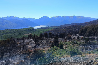 Patagonia, Argentina.- En las fotos tomadas el 13 de febrero del 2024, muestra el incendio forestal que afecta el Parque Nacional Los Alerces. El incendio en el Parque Nacional Los Alerces continúa activo con una superficie total afectada de 8.205 hectáreas, se informó. Esta catástrofe ha movilizado a 437 personas para trabajar en el operativo.