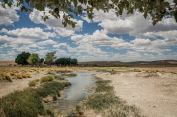 Rio Negro, Argentina.- En las fotos tomadas el 5 de febrero del 2024, cooperativas, comunidades mapuches, productores, vecinas y vecinos, organismos del Estado municipal, provincial y nacional, universidades e institutos científicos confluyeron en la localidad de Ingeniero Jacobacci (Río Negro) en la Unidad de Gestión Integrada de la Cuenca Huahuel Niyeo, un espacio en el que llevan adelante proyectos para hacer un mejor uso del agua en un contexto de emergencia hídrica.