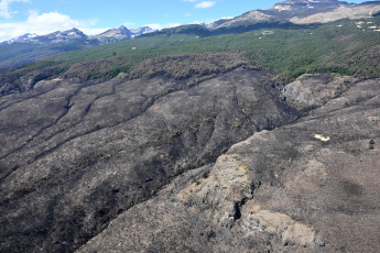 Chubut, Argentina.- En las fotos tomadas el 8 de febrero del 2024, muestra los incendios forestales que afecta el Parque Nacional Los Alerces en Chubut. El incendio, afectó aproximadamente unas 6.715 hectáreas y, pese a que en la zona rigen alertas por vientos fuertes, las autoridades a cargo del operativo esperan poder avanzar en el combate del fuego por la lluvia y el descenso de temperatura.