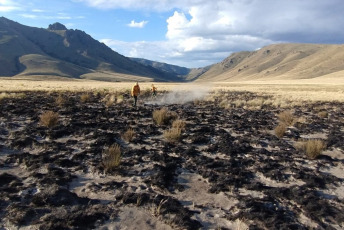 Rio Negro, Argentina.- En las fotos tomadas el 12 de febrero del 2024, un incendio, iniciado por un rayo, fue controlado dentro del Parque y Reserva Nacional Nahuel Huapi, informó la Administración de Parques Nacionales. Mientras tanto, los brigadistas aún continúan luchando para controlar el fuego en el brazo Tristeza del Parque Nacional Nahuel Huapi, que lleva seis días y afecta unas 600 hectáreas.