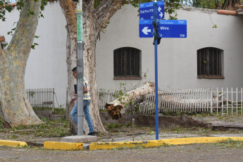 Mendoza, Argentina.- En las fotos tomadas el 29 de febrero del 2024, una tormenta de granizo generó la caída de árboles, calles anegadas, cortes del servicio eléctrico y algunas viviendas sufrieron daños en techos y 20 personas fueron asistidas por lesiones leves en diversas localidades de Mendoza, informaron fuentes oficiales.